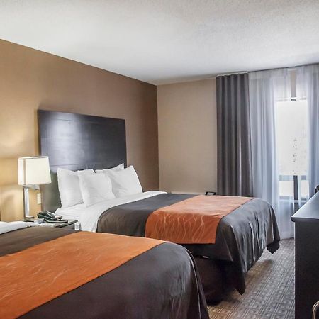 Comfort Inn Brampton Bagian luar foto
