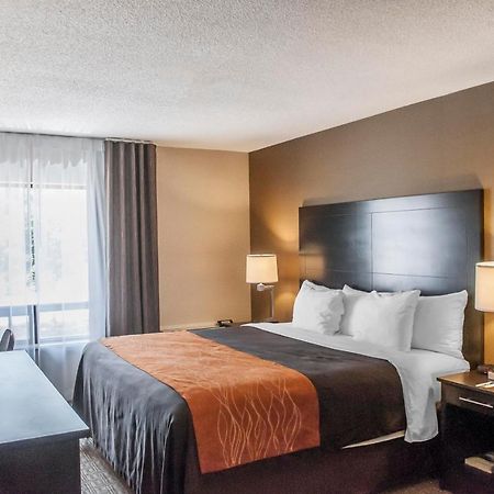 Comfort Inn Brampton Bagian luar foto