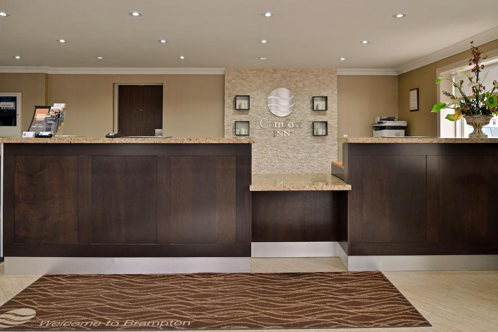 Comfort Inn Brampton Bagian luar foto