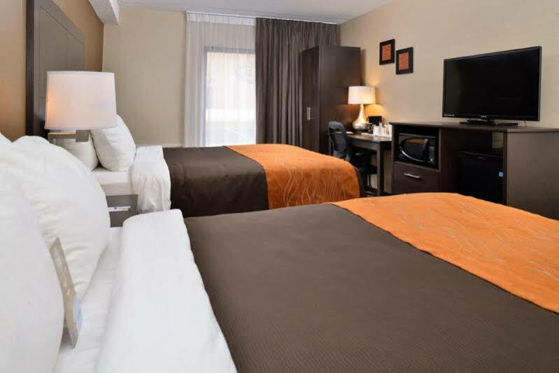 Comfort Inn Brampton Bagian luar foto