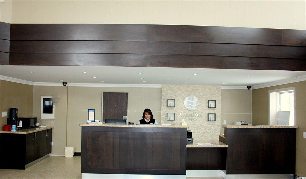 Comfort Inn Brampton Bagian luar foto