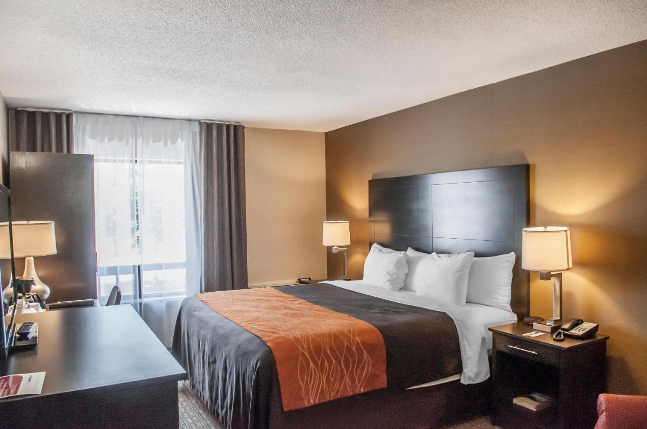 Comfort Inn Brampton Bagian luar foto